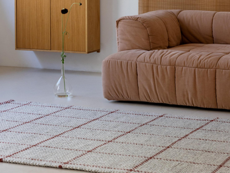 Woonkamer met een lage bank en kleed