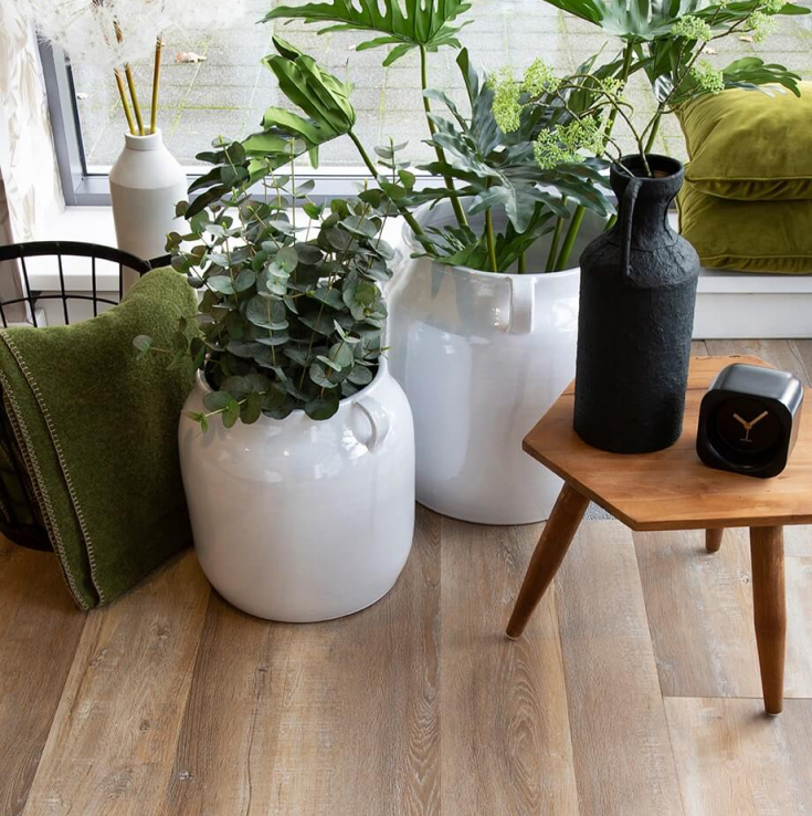 TFD vloer met planten in een witte pot