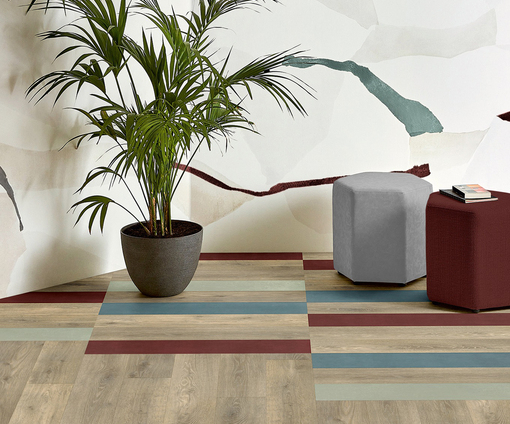 Plant op een gekleurde vinyl tegelvloer